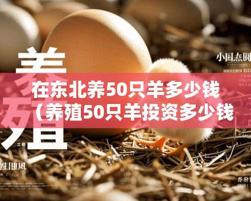 在东北养50只羊多少钱（养殖50只羊投资多少钱）