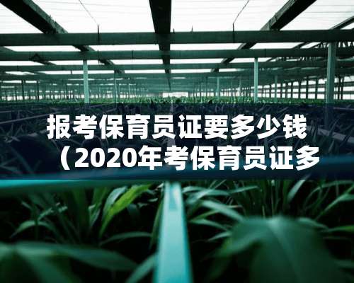 报考保育员证要多少钱（2020年考保育员证多少钱）