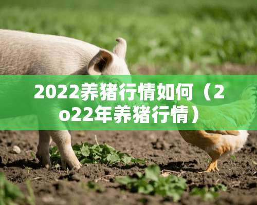 2022养猪行情如何（2o22年养猪行情）