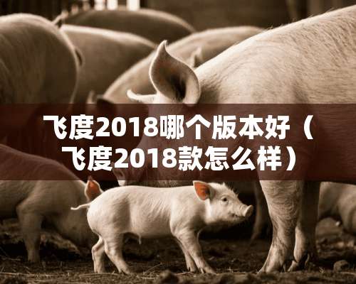 飞度2018哪个版本好（飞度2018款怎么样）