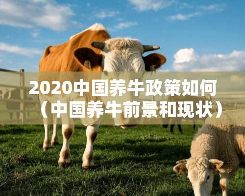 2020中国养牛政策如何（中国养牛前景和现状）