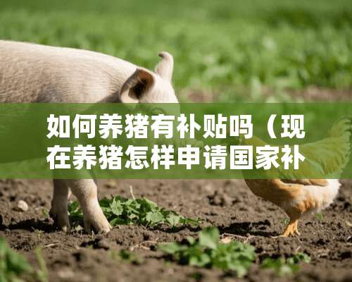 如何养猪有补贴吗（现在养猪怎样申请国家补贴）