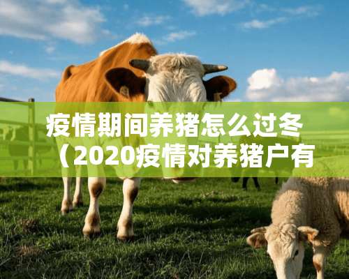 疫情期间养猪怎么过冬（2020疫情对养猪户有影响吗）