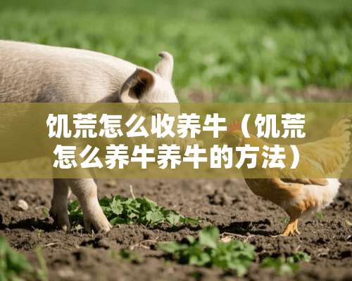 饥荒怎么收养牛（饥荒怎么养牛养牛的方法）