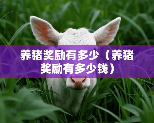 养猪奖励有多少（养猪奖励有多少钱）