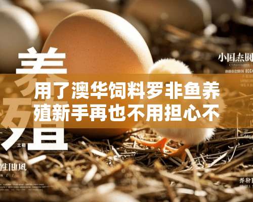 用了澳华饲料罗非鱼养殖新手再也不用担心不会养鱼了