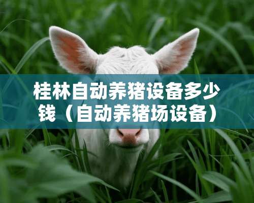 桂林自动养猪设备多少钱（自动养猪场设备）