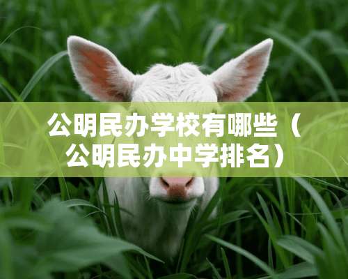 公明民办学校有哪些（公明民办中学排名）