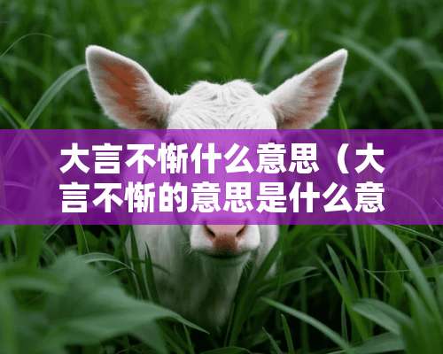 大言不惭什么意思（大言不惭的意思是什么意思）