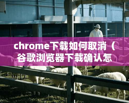 chrome下载如何取消（谷歌浏览器下载确认怎么取消）