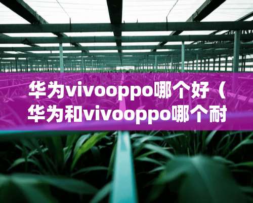 华为vivooppo哪个好（华为和vivooppo哪个耐用）