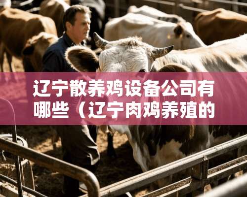 辽宁散养鸡设备公司有哪些（辽宁肉鸡养殖的企业）