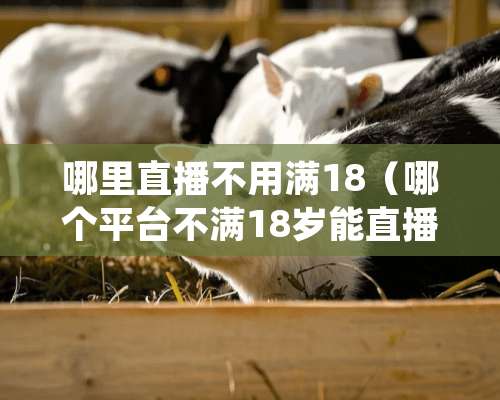 哪里直播不用满18（哪个平台不满18岁能直播手游）