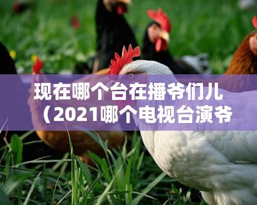 现在哪个台在播爷们儿（2021哪个电视台演爷们儿）