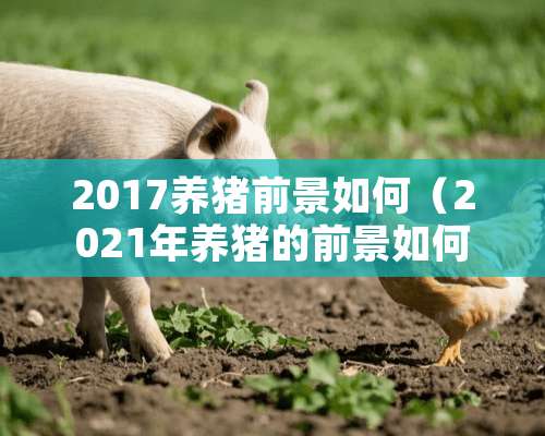 2017养猪前景如何（2021年养猪的前景如何）