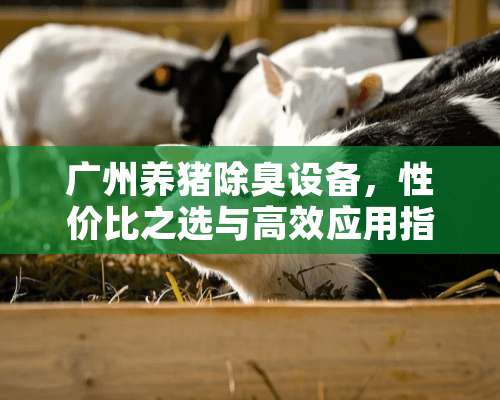 广州养猪除臭设备，性价比之选与高效应用指南 广州养猪除臭设备贵吗