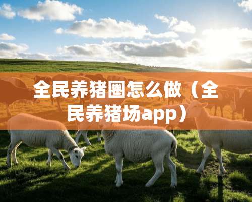 全民养猪圈怎么做（全民养猪场app）