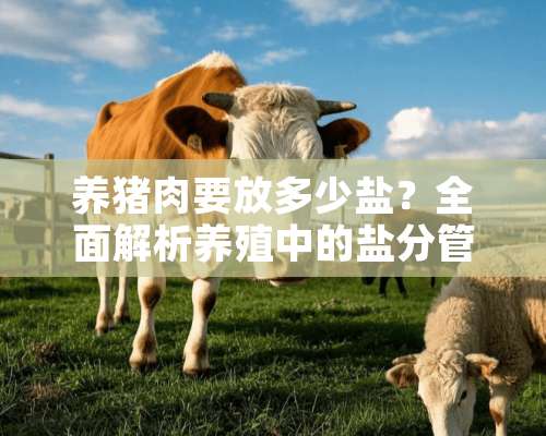 养猪肉要放多少盐？全面解析养殖中的盐分管理 养猪肉要放多少盐