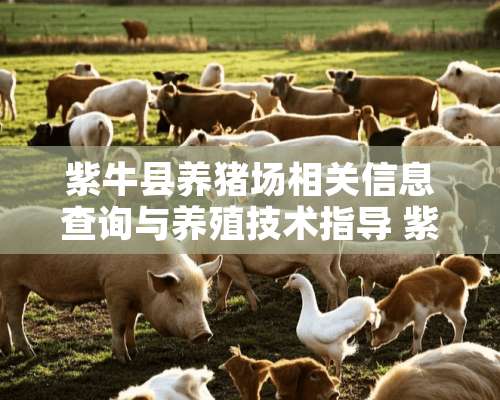 紫牛县养猪场相关信息查询与养殖技术指导 紫牛县养猪场在哪里有