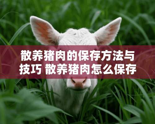 散养猪肉的保存方法与技巧 散养猪肉怎么保存时间长