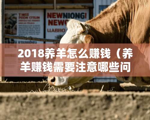 2018养羊怎么赚钱（养羊赚钱需要注意哪些问题）