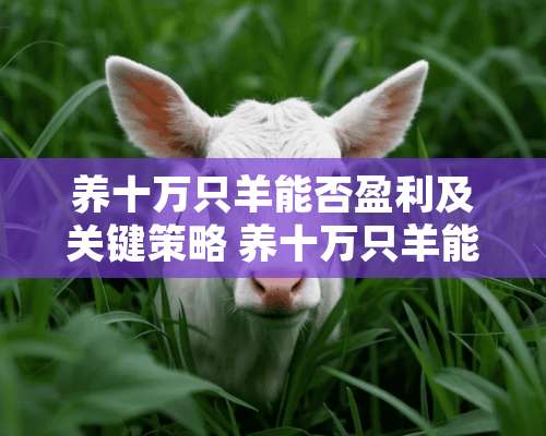 养十万只羊能否盈利及关键策略 养十万只羊能挣多少钱啊