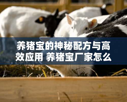 养猪宝的神秘配方与高效应用 养猪宝厂家怎么样