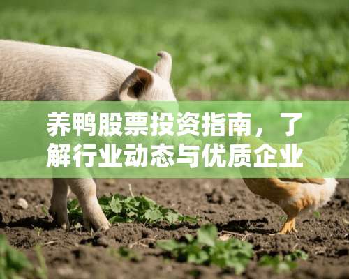 养鸭股票投资指南，了解行业动态与优质企业 养鸭的股票有哪些