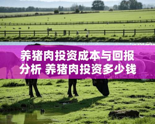 养猪肉投资成本与回报分析 养猪肉投资多少钱一斤啊