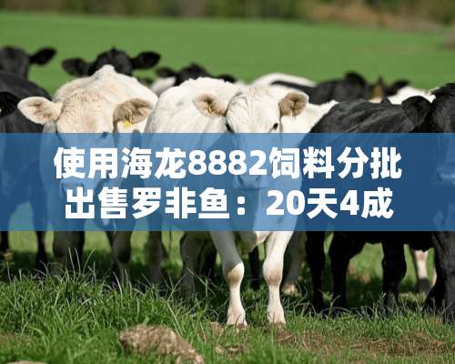 使用海龙8882饲料分批出售罗非鱼：20天4成变9成