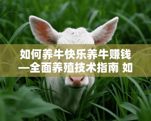 如何养牛快乐养牛赚钱—全面养殖技术指南 如何养牛快乐养牛赚钱