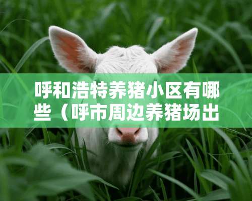 呼和浩特养猪小区有哪些（呼市周边养猪场出售出租）