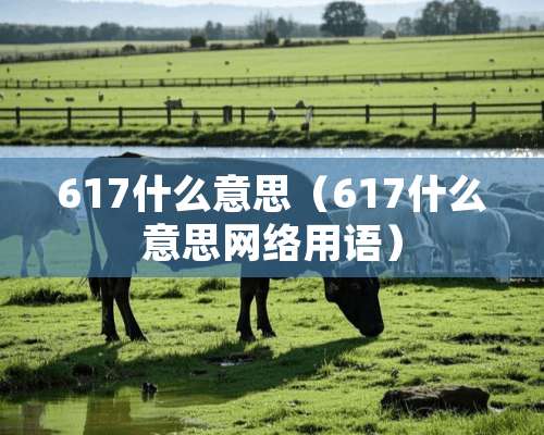 617什么意思（617什么意思网络用语）