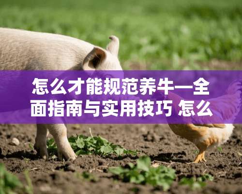 怎么才能规范养牛—全面指南与实用技巧 怎么才能规范养牛行为