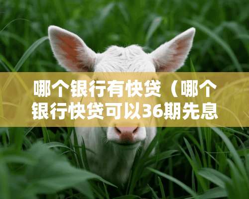 哪个银行有快贷（哪个银行快贷可以36期先息后本?）