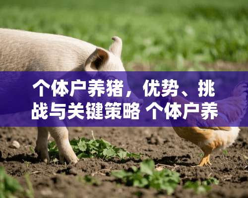 个体户养猪，优势、挑战与关键策略 个体户养猪有什么好处没