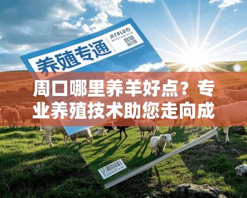 周口哪里养羊好点？专业养殖技术助您走向成功 周口哪里养羊好点