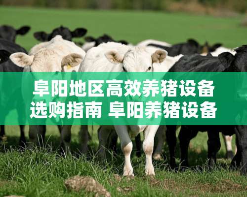 阜阳地区高效养猪设备选购指南 阜阳养猪设备什么价格买