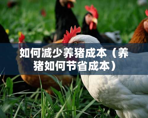 如何减少养猪成本（养猪如何节省成本）