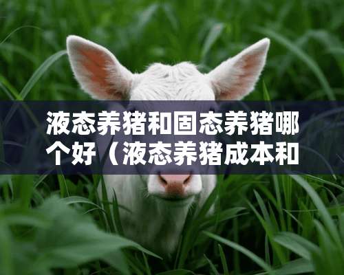 液态养猪和固态养猪哪个好（液态养猪成本和利润）