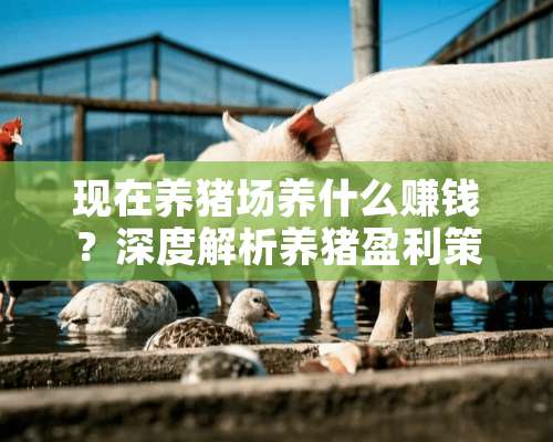 现在养猪场养什么赚钱？深度解析养猪盈利策略 现在养猪场养什么赚钱