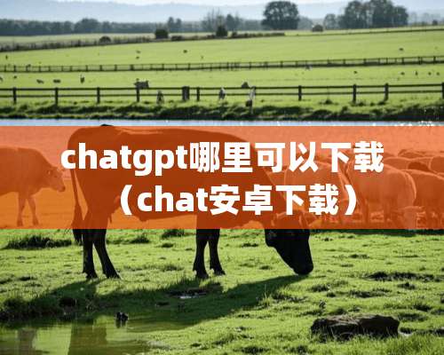 chatgpt哪里可以下载（chat安卓下载）