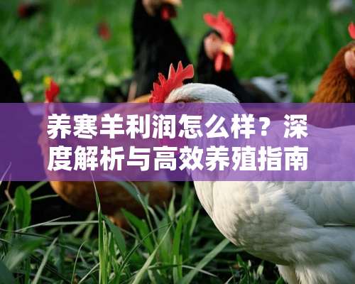 养寒羊利润怎么样？深度解析与高效养殖指南 养寒羊利润怎么样