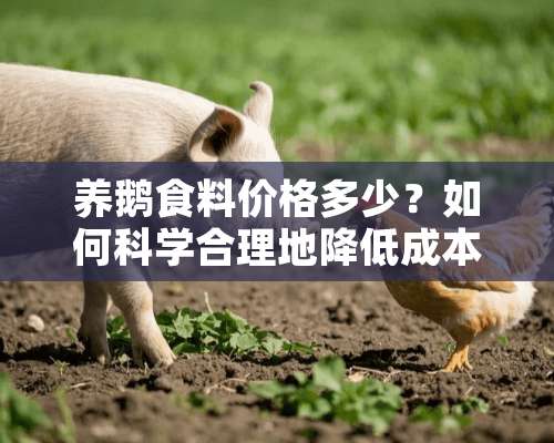 养鹅食料价格多少？如何科学合理地降低成本？养鹅食料价格多少