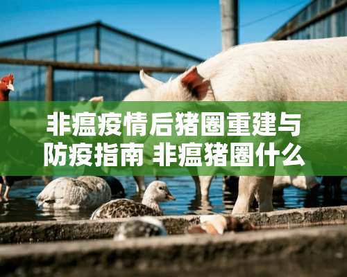 非瘟疫情后猪圈重建与防疫指南 非瘟猪圈什么时候能养猪啊