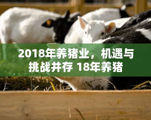 2018年养猪业，机遇与挑战并存 18年养猪