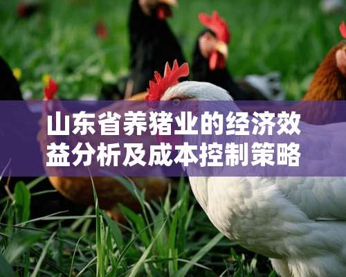 山东省养猪业的经济效益分析及成本控制策略 哪个省养猪最便宜