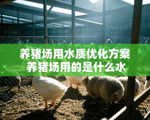 养猪场用水质优化方案 养猪场用的是什么水