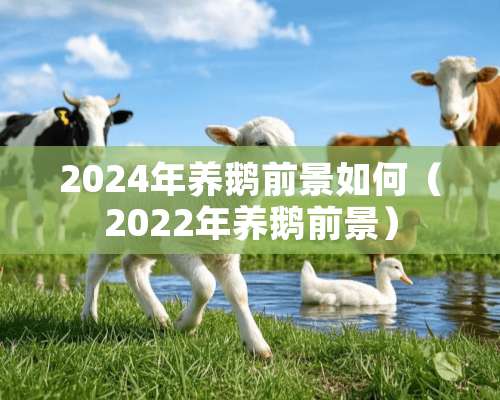 2024年养鹅前景如何（2022年养鹅前景）