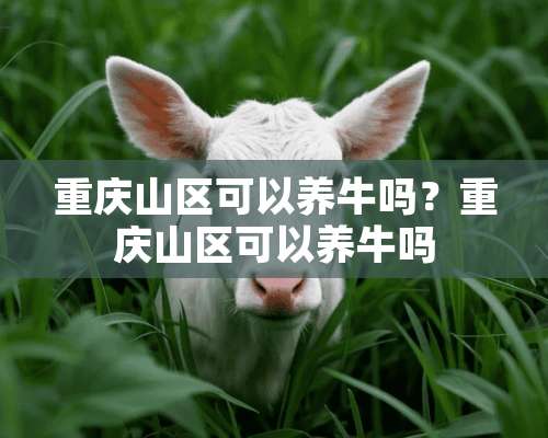 重庆山区可以养牛吗？重庆山区可以养牛吗